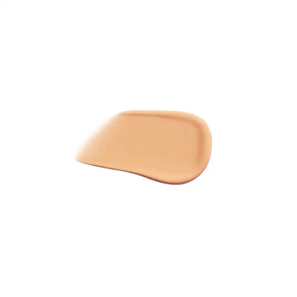 AIRBRUSH FLAWLESS BLUR CONCEALER 1 FAIR